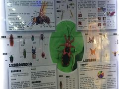 -上海昆虫博物馆
