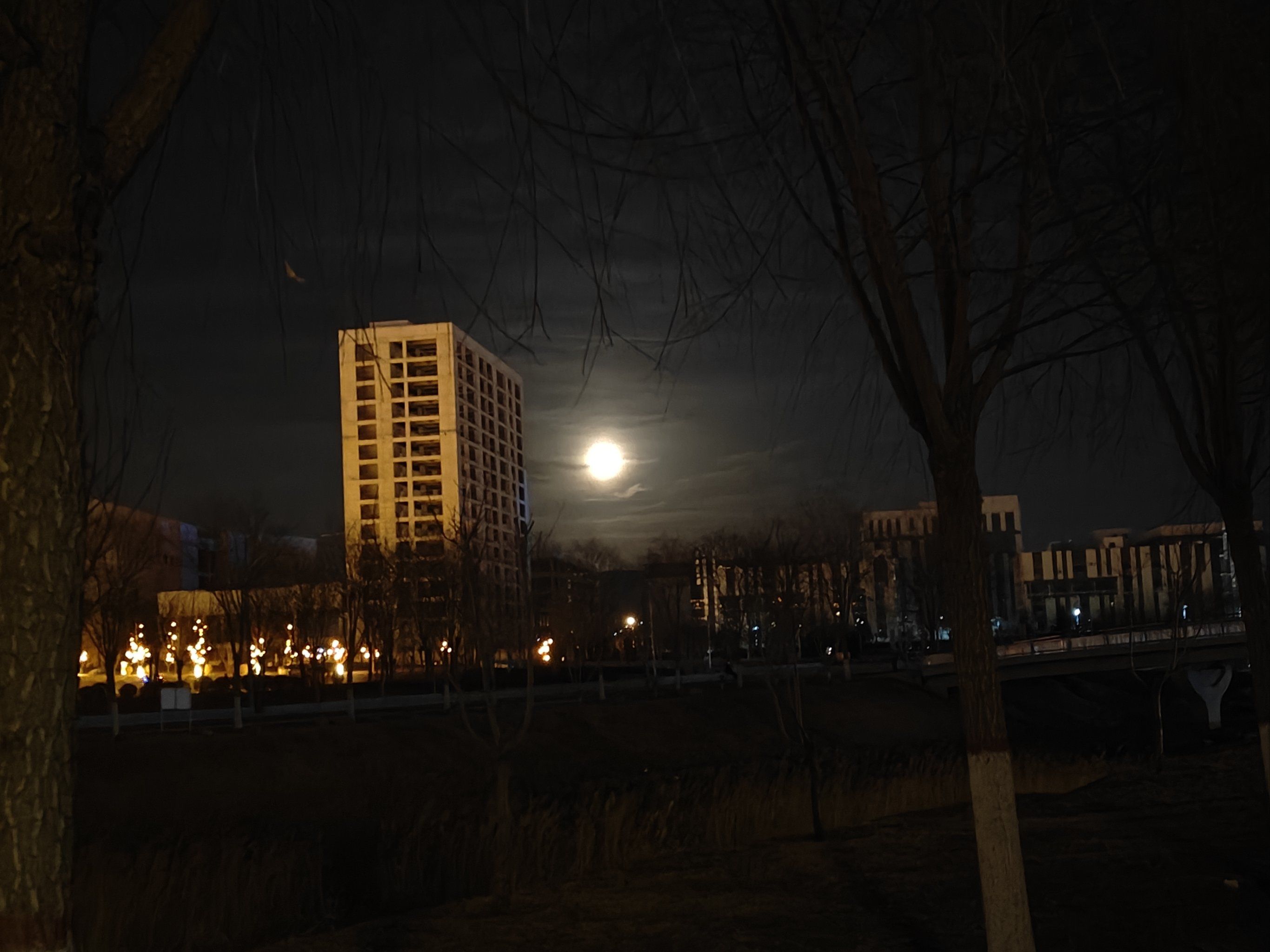 天天领红包今晚的月亮好美丽,皓月当空