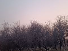 -莫子山公园