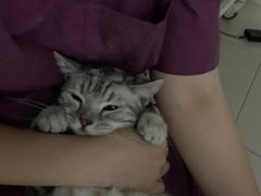 -瑞派福兴宠物医院犬猫全科·骨科·中西医结合(河东店)