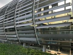 -同济大学四平路校区游泳馆