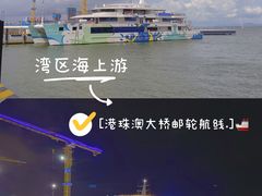 -港珠澳大桥(珠海段)