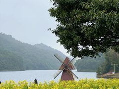 -广州市石门国家森林公园