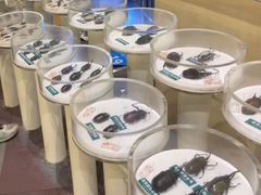 -陕西自然博物馆