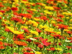 -华东政法大学(松江校区)