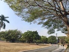 -东莞植物园