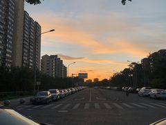 -远洋未来汇