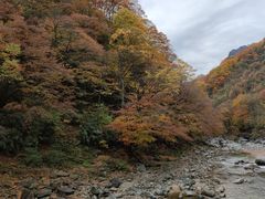 -光雾山旅游景区