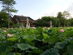 -惠州西湖丰渚园