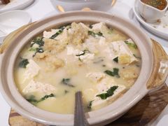 酥肉煨豆腐-眉州东坡(民族园店)
