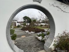 -上海滨江森林公园
