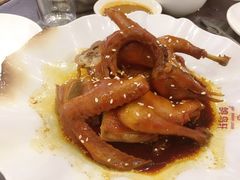 -鸽鸟轩(石岐店)