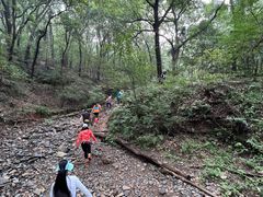 -紫金山山顶公园