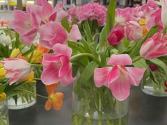 -荷兰花海