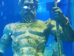 -正佳极地海洋世界