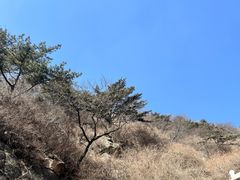 -泰山风景名胜区