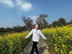 -武汉紫薇都市田园