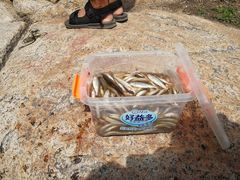 -碓臼峪自然风景区