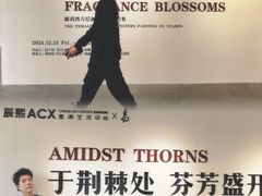 -辰熙ACX星海艺术中心