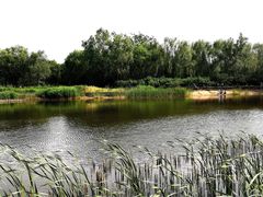 -永定河休闲森林公园