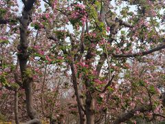 -元大都城垣遗址公园