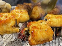 -本炙炭烤·蒲烧活鳗料理店(金沙洲店)