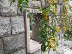 -观象山公园