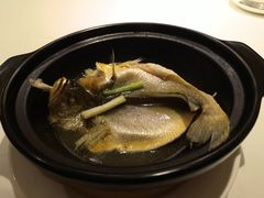 清煮黄花鱼-悦景酒家(罗湖店)