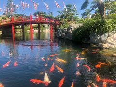 -芽庄珍珠岛游乐园