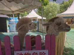 -萌宠亲子动物乐园(槐房万达店)