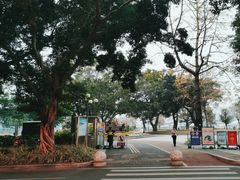 -洲头咀公园