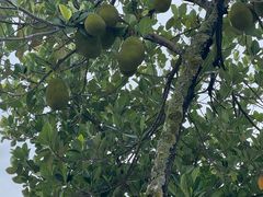 -姐告口岸