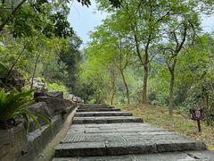 -广州白江湖森林公园