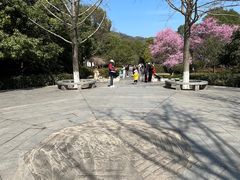 -八卦田遗址公园