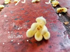 -上坐过桥米线(顺城店)