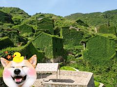 -枸杞岛