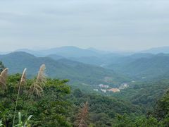 -天鹿湖森林公园