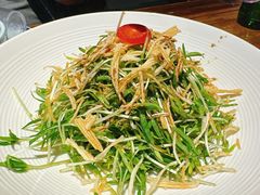 捞汁空心菜苗-打酱油·非遗淮扬菜(瘦西湖梅岭店)