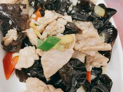 木耳肉片-乐乐餐厅(湘子庙街店)