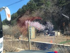 -蟠龙山长城景区