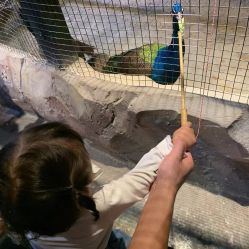 -酷嗒动物文化乐园(cutezoo西溪乐天城店)