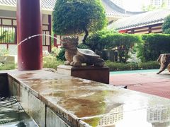 -河源客天下-温泉小镇