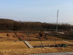 -佛手湖郊野公园
