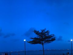 -珍宝海鲜(东海岸海鲜中心)
