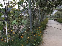-浙江农林大学(东湖校区)