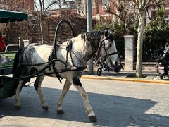 -天津五大道文化旅游区