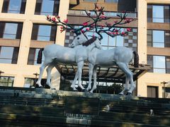 门面-鹭江潮餐厅•福建菜(鹭江佲家酒店)