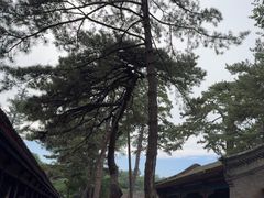 -承德避暑山庄景区