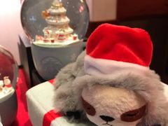 -星巴克(广州淘金路店)