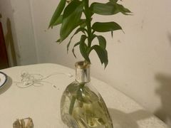 -顺德小院私房菜馆